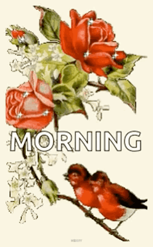 a couple of birds sitting on a branch next to a bunch of red roses