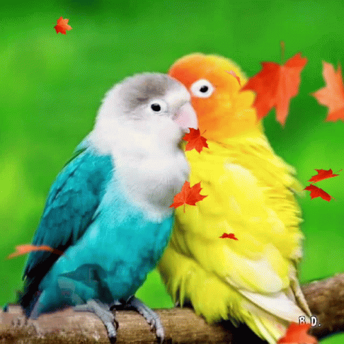 A Couple Of Birds Sitting On A Branch With Leaves Flying Around Them GIF