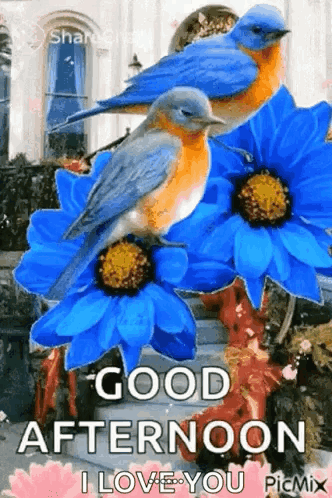 A Couple Of Birds Sitting On Top Of Blue Flowers With The Words `` Good Afternoon I Love You '' . GIF