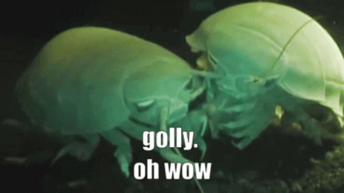 A Couple Of Bugs Are Standing Next To Each Other With The Words " Golly Oh Wow " In The Background GIF