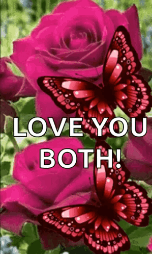 A Couple Of Butterflies Sitting On Top Of A Pink Rose With The Words `` Love You Both '' Written On It . GIF