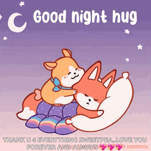 A Couple Of Cartoon Animals Hugging Each Other With The Words Good Night Hug GIF