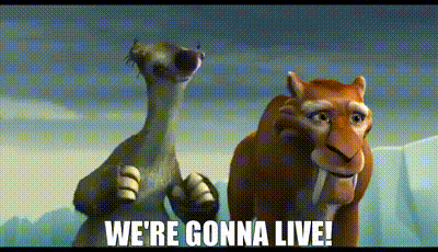 A Couple Of Cartoon Animals Standing Next To Each Other With The Words `` We 'Re Gonna Live '' Written On The Bottom GIF