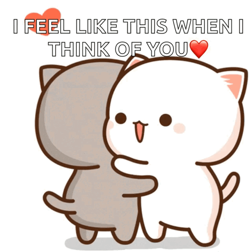 Cats Hugging With I Feel Like This When I Think Of You GIF
