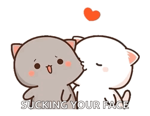 Cats Kissing With Sucking Your Face Text GIF