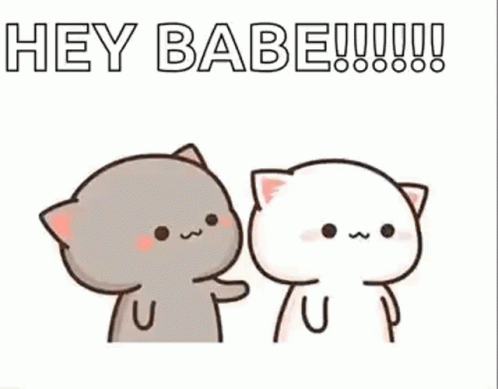 A Couple Of Cats Are Standing Next To Each Other And One Is Touching The Other 'S Face . GIF
