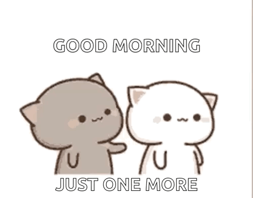 A Couple Of Cats Are Standing Next To Each Other And One Of Them Is Touching The Other 'S Face . GIF