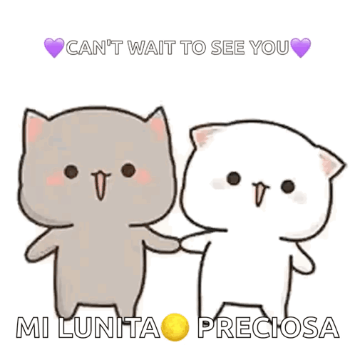 A Couple Of Cats Holding Hands With The Words Can 'T Wait To See You GIF