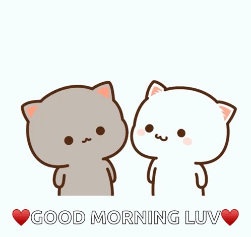 A Couple Of Cats Kissing With The Words Good Morning Luv GIF