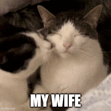 a couple of cats laying next to each other with the words my wife written on the bottom .