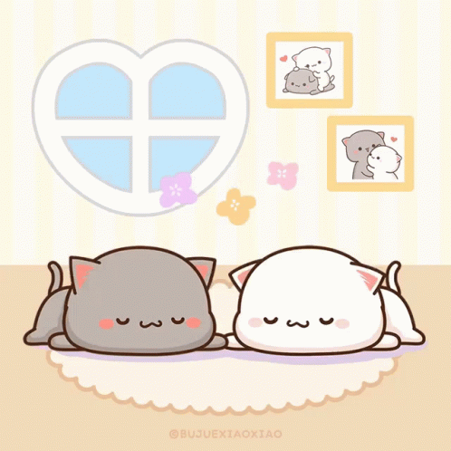 A Couple Of Cats Laying On A Rug With A Heart Shaped Window Behind Them GIF