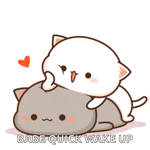 A Couple Of Cats Laying On Top Of Each Other With The Words " Babe Quick Wake Up " Below Them GIF