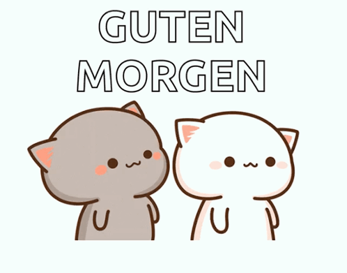 Cats Standing Next To Each Other Greet Guten Morgen GIF