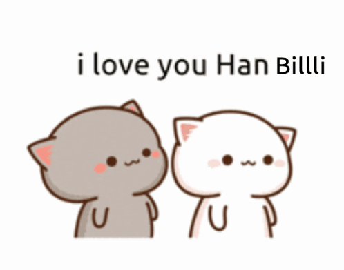 A Couple Of Cats Standing Next To Each Other With The Words I Love You Han Billi Written Above Them GIF
