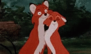 A Couple Of Foxes Hugging Each Other In A Forest . GIF