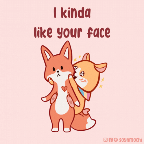 A Couple Of Foxes Standing Next To Each Other With The Words I Kinda Like Your Face Above Them GIF