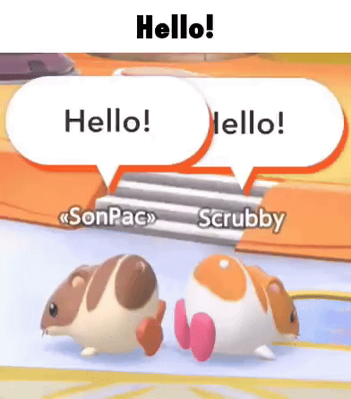 a couple of hamsters are standing next to each other and talking to each other .