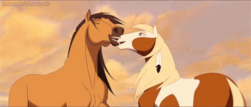 A Couple Of Horses Standing Next To Each Other And One Of Them Is Licking The Other GIF