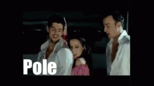 A Couple Of Men And A Woman Are Standing Next To Each Other And The Word Pole Is On The Bottom . GIF