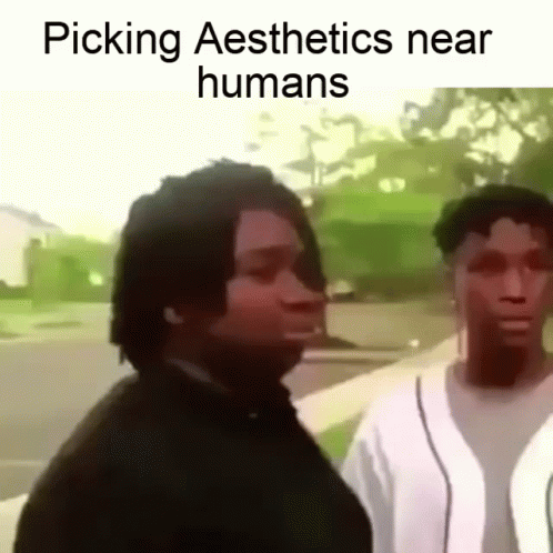 A Couple Of Men Are Standing Next To Each Other On A Sidewalk With The Caption Picking Aesthetics Near Humans GIF