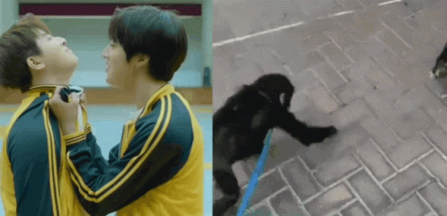A Couple Of Men Standing Next To Each Other And A Monkey Standing Next To A Person . GIF