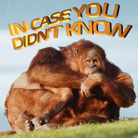 A Couple Of Orangutans Hugging Each Other With The Words In Case You Didn T Know Above Them GIF