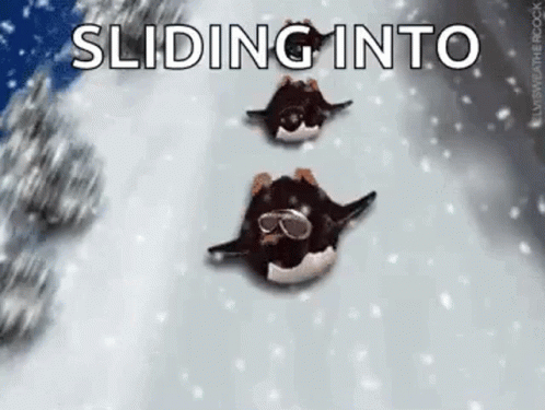 A Couple Of Penguins Are Sliding Down A Snow Covered Slope . GIF