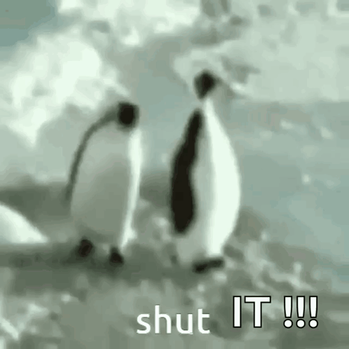 A Couple Of Penguins Are Standing Next To Each Other On Top Of A Snow Covered Field . GIF