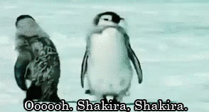 A Couple Of Penguins Standing Next To Each Other In The Snow With The Words Oooooooh . Shakira . Shakira . GIF