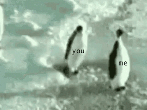 A Couple Of Penguins Standing Next To Each Other In The Water With The Words `` You And Me '' Written On Them . GIF