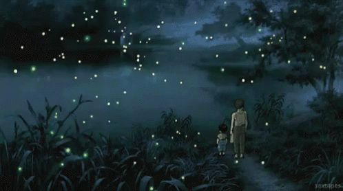 A Couple Of People Standing In A Field With Fireflies In The Sky GIF