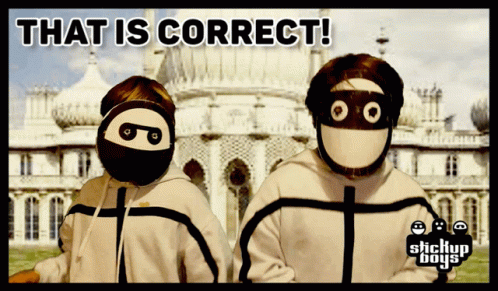 A Couple Of People Wearing Masks With The Words That Is Correct GIF