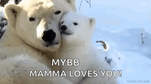 A Couple Of Polar Bears Hugging Each Other In The Snow With The Words `` Mybb Mamma Loves You '' . GIF
