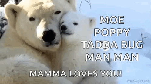 A Couple Of Polar Bears Hugging Each Other With The Words Moe Poppy Tadda Bug Man Man Mamma Loves You . GIF