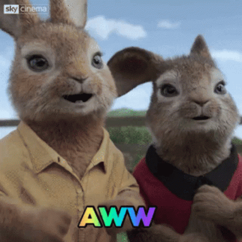 A Couple Of Rabbits Standing Next To Each Other With The Word Aww On The Bottom Right GIF