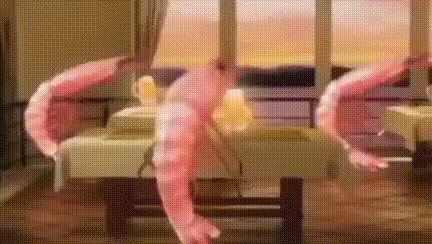 A Couple Of Shrimp Are Sitting On A Table In A Room . GIF