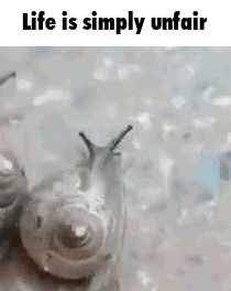A Couple Of Snails Are Crawling On A Surface With The Words `` Life Is Simply Unfair '' Written Above Them . GIF