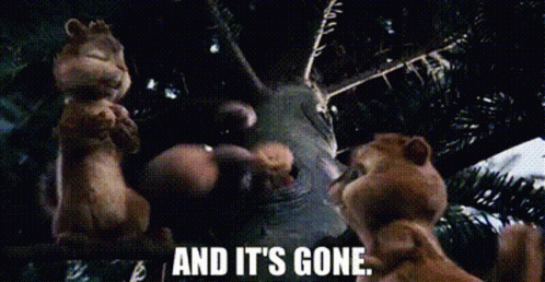 A Couple Of Squirrels Are Standing Next To Each Other And Talking To Each Other . GIF