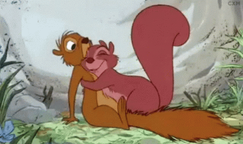A Couple Of Squirrels Hugging Each Other In A Cartoon .. GIF