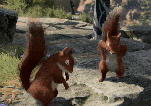 Squirrels Standing On Rocky Surface GIF