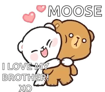 A Couple Of Teddy Bears Hugging Each Other . GIF