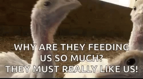 A Couple Of Turkeys Are Standing Next To Each Other In A Cage . GIF