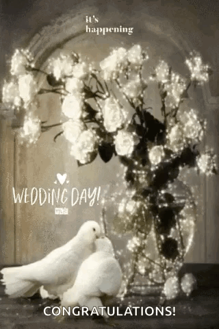 A Couple Of White Pigeons Standing Next To A Vase Of Flowers . GIF