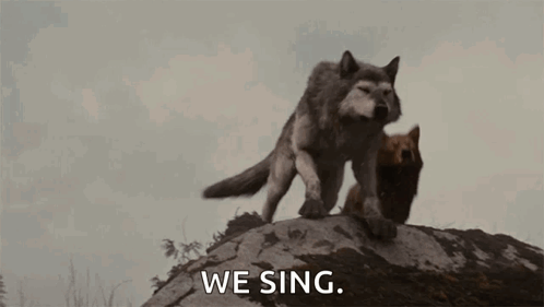 A Couple Of Wolves Are Standing On Top Of A Rock And Singing . GIF