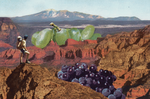 A Couple Standing On A Cliff Looking At A Bunch Of Grapes And Apples GIF