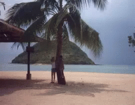A Couple Standing Under A Palm Tree On A Sandy Beach GIF