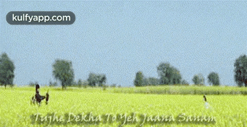 A Couple Walking Through A Field With The Words Kulfyapp.com Written On The Bottom GIF