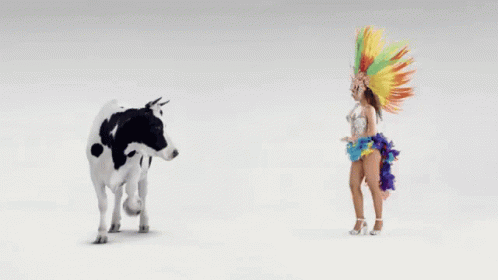 A Cow Is Standing Next To A Woman In A Colorful Outfit GIF