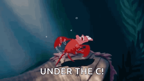 A Crab Is Crawling On A Rock With The Words Under The C Written On It . GIF