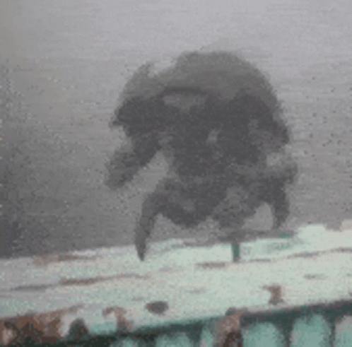A Crab Is Flying Through The Air In A Foggy Room . GIF